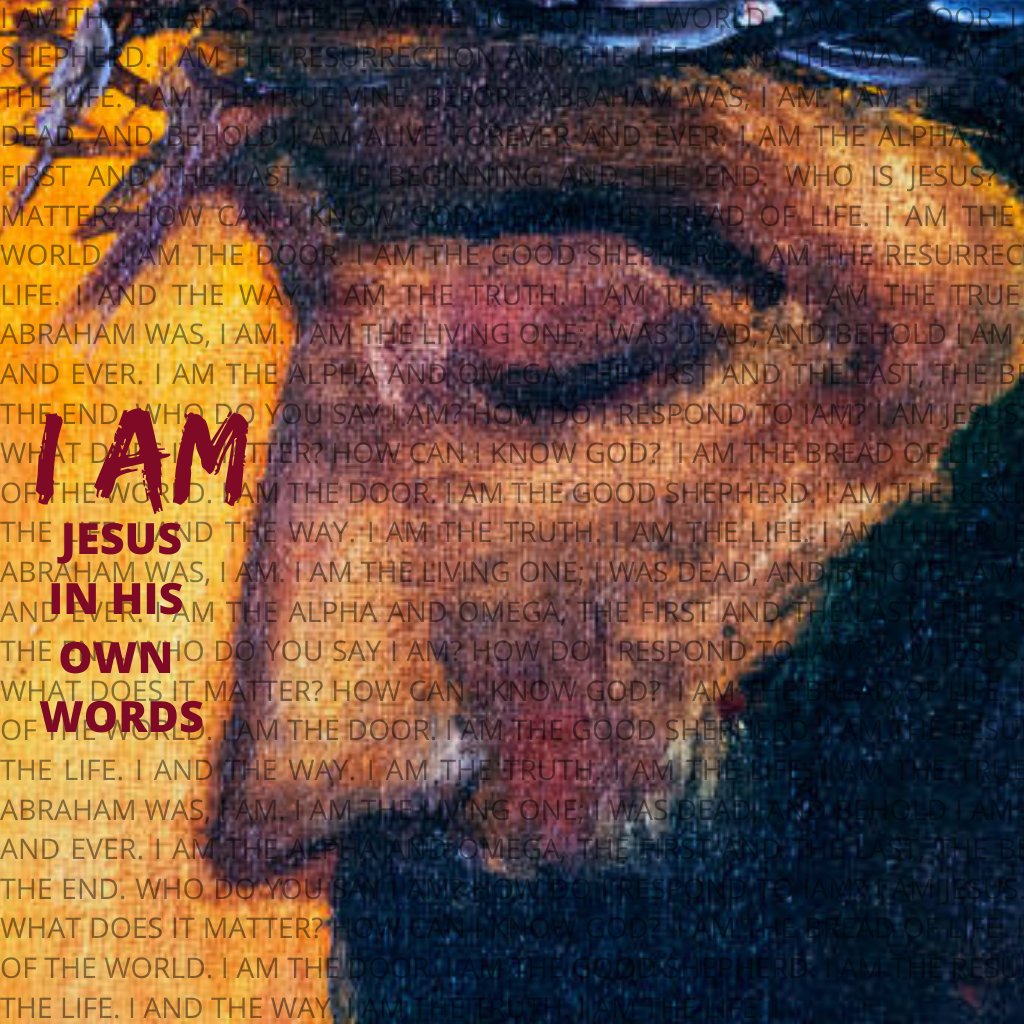 I am the door episode artwork