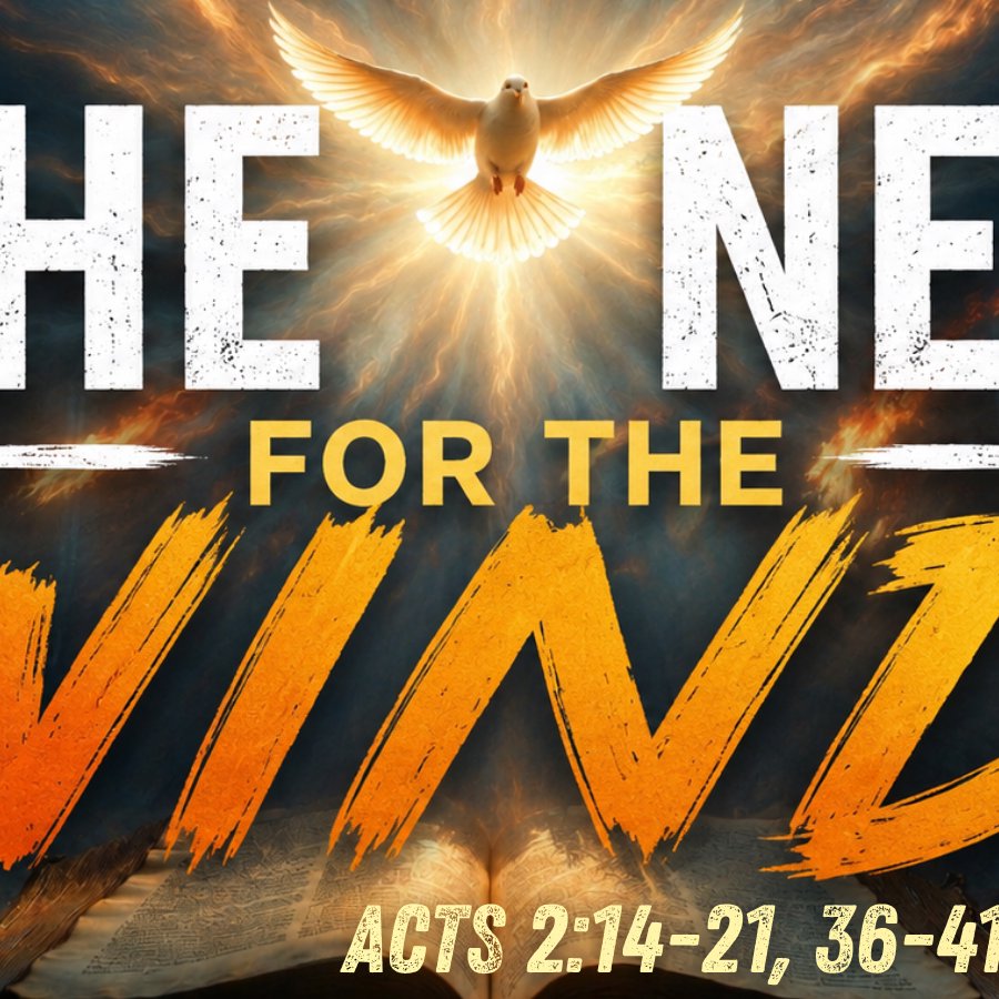 N.eed for the Wind episode artwork