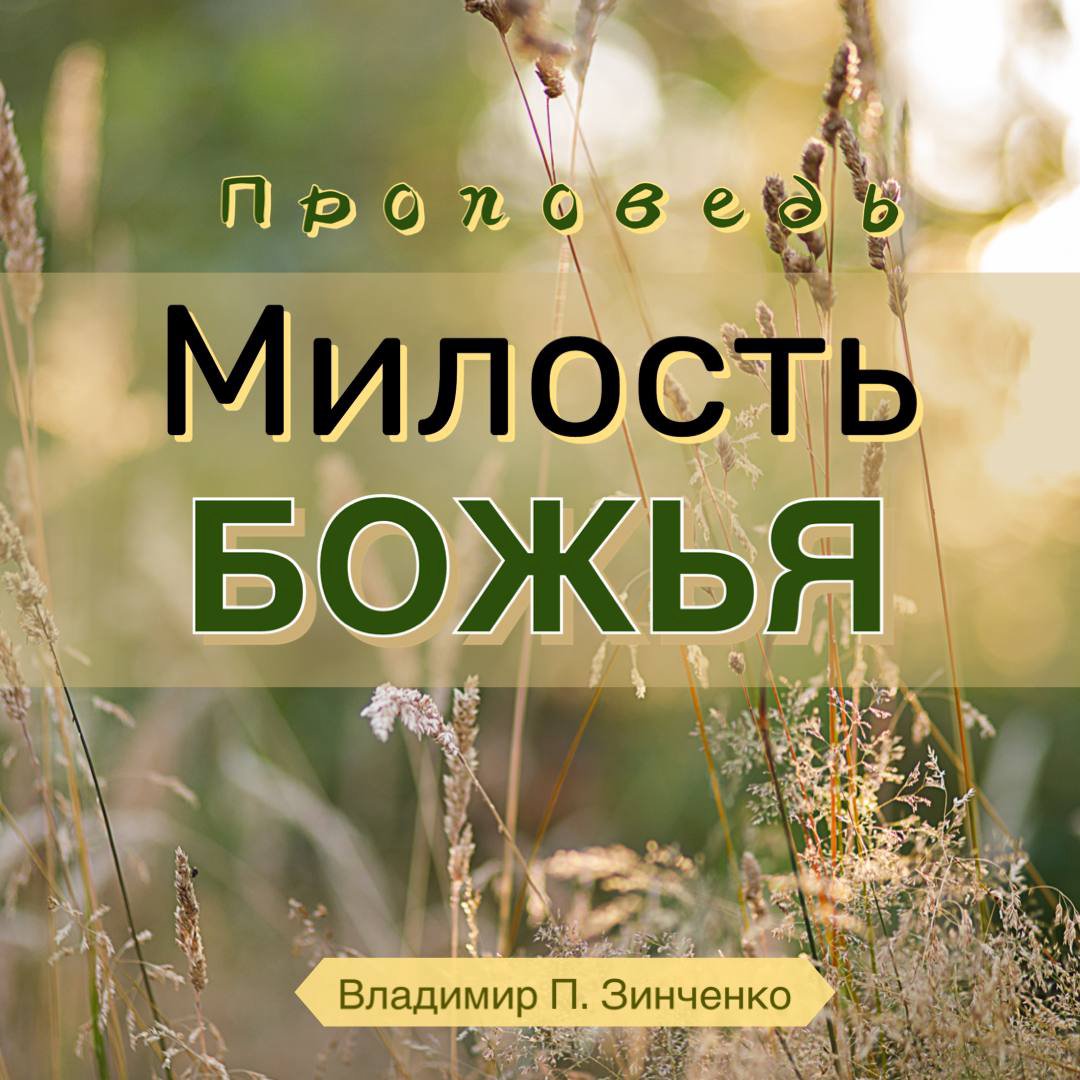 Милость Божья — Владимир П. Зинченко