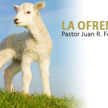 La Ofrenda Provista episode artwork