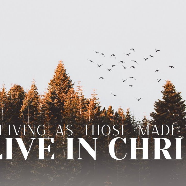 Living As Those Made Alive In Christ episode artwork