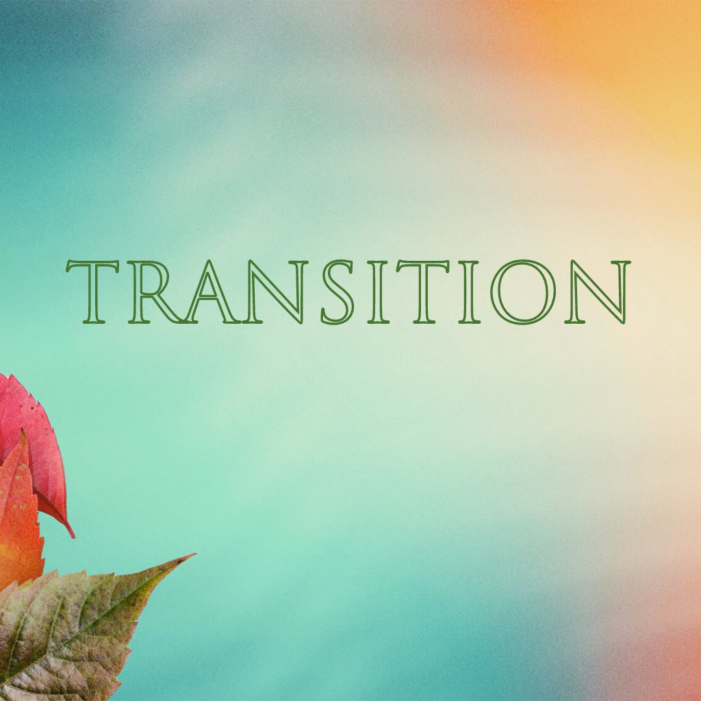 In Transition episode artwork