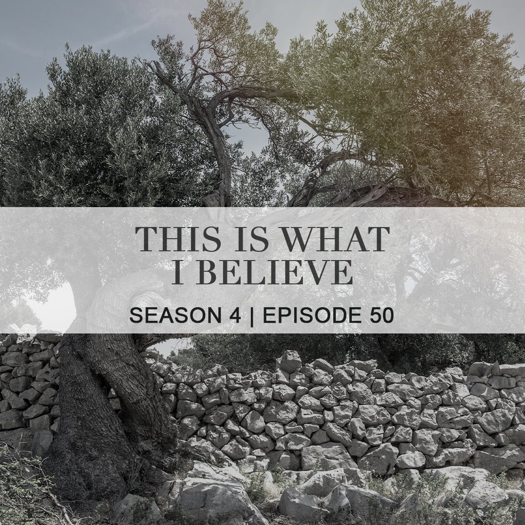 PORTIONS - A TFI Podcast