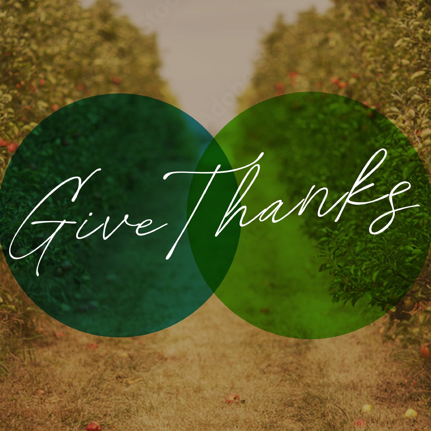 Give Thanks | 1 Thessalonians 5:16-18