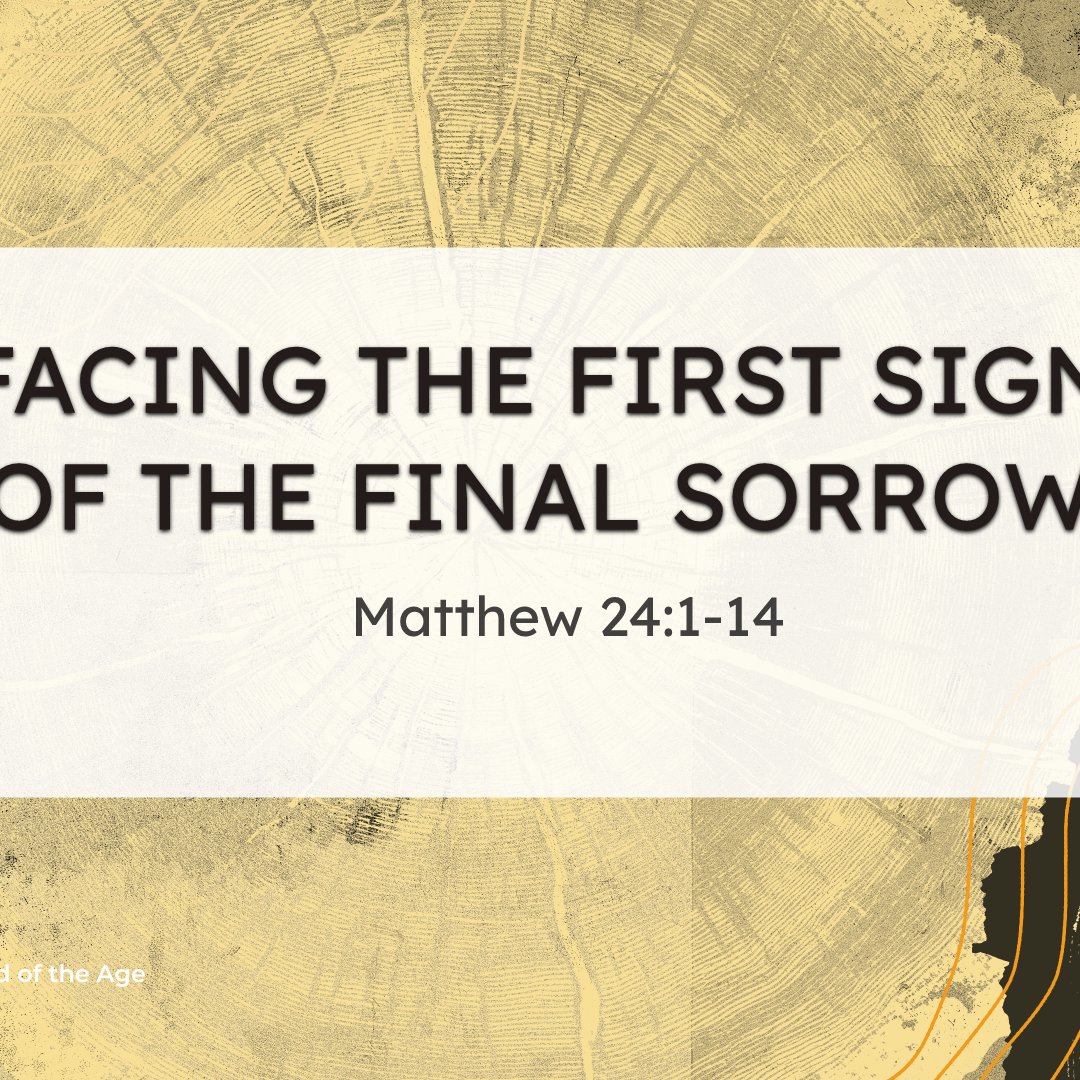 Facing the First Signs of the Final Sorrows episode artwork