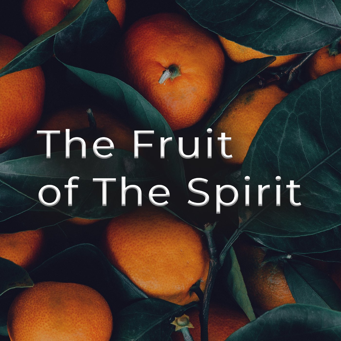 The Fruit of The Spirit