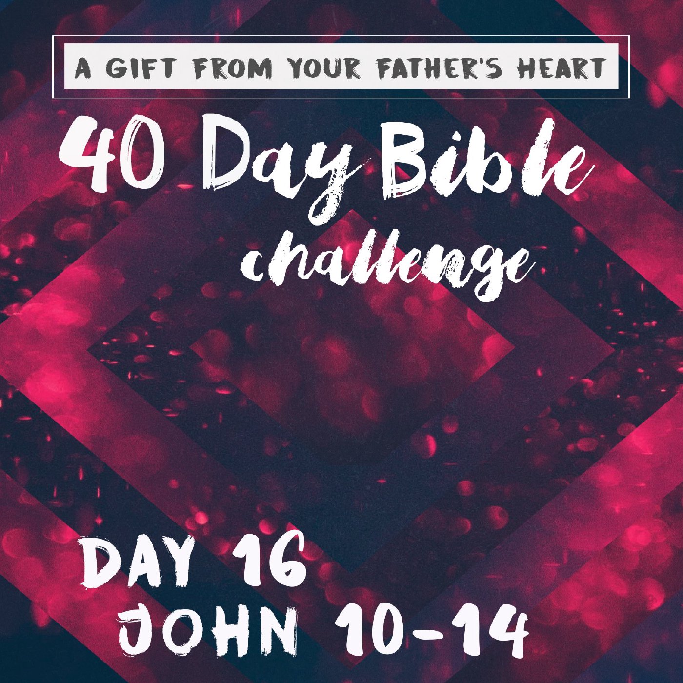 Day 16 - John 10-14 episode artwork