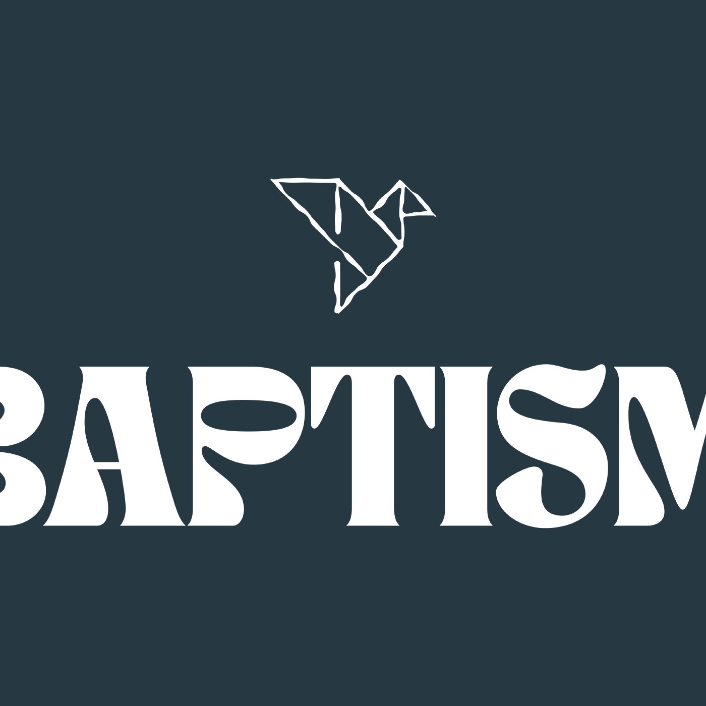 Baptism 2024 - Ringwood episode artwork