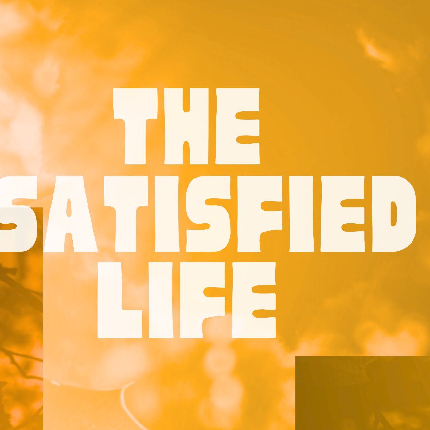The Satisfied Life 6