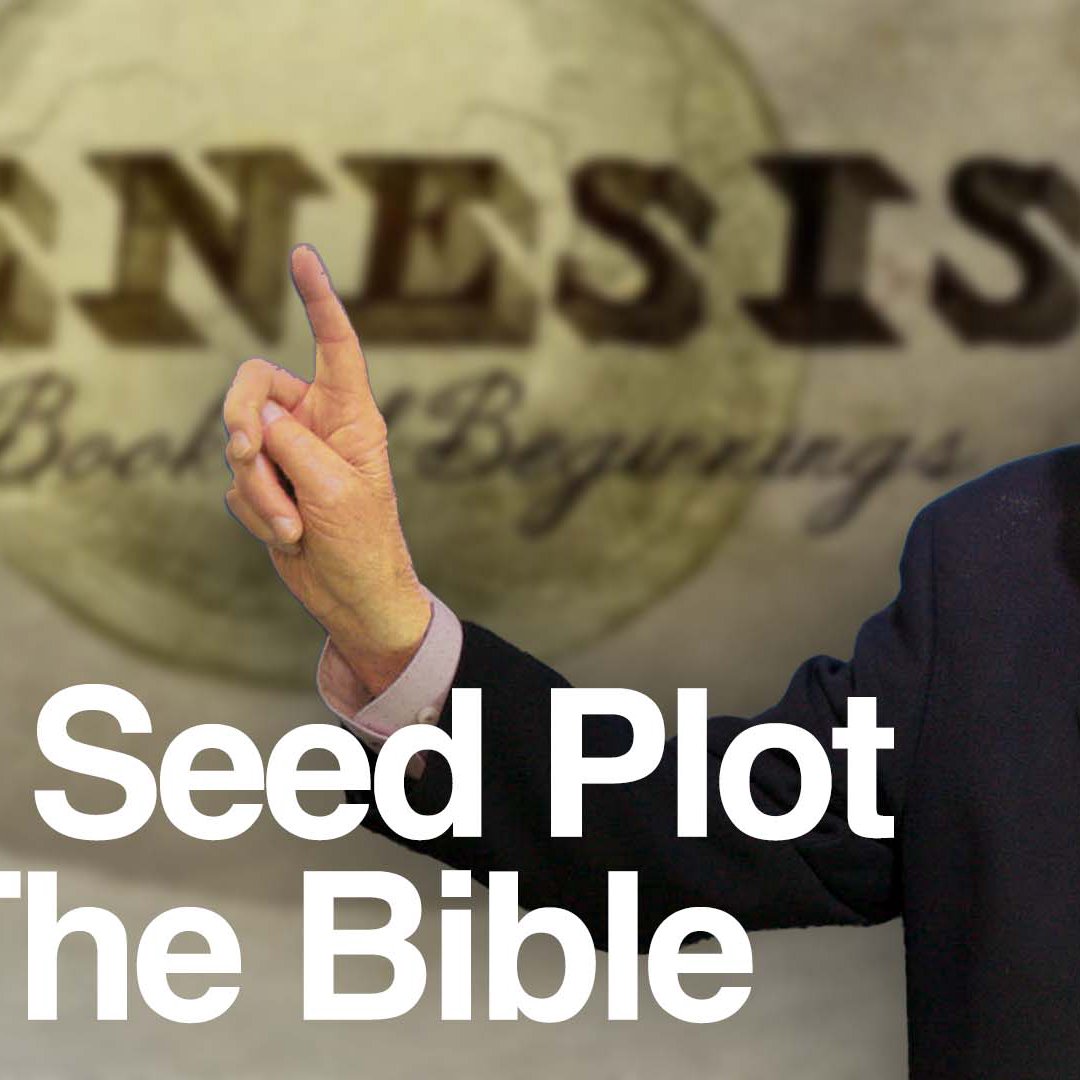 The Seed Plot Of The Bible The Seed Plot Of The Bible