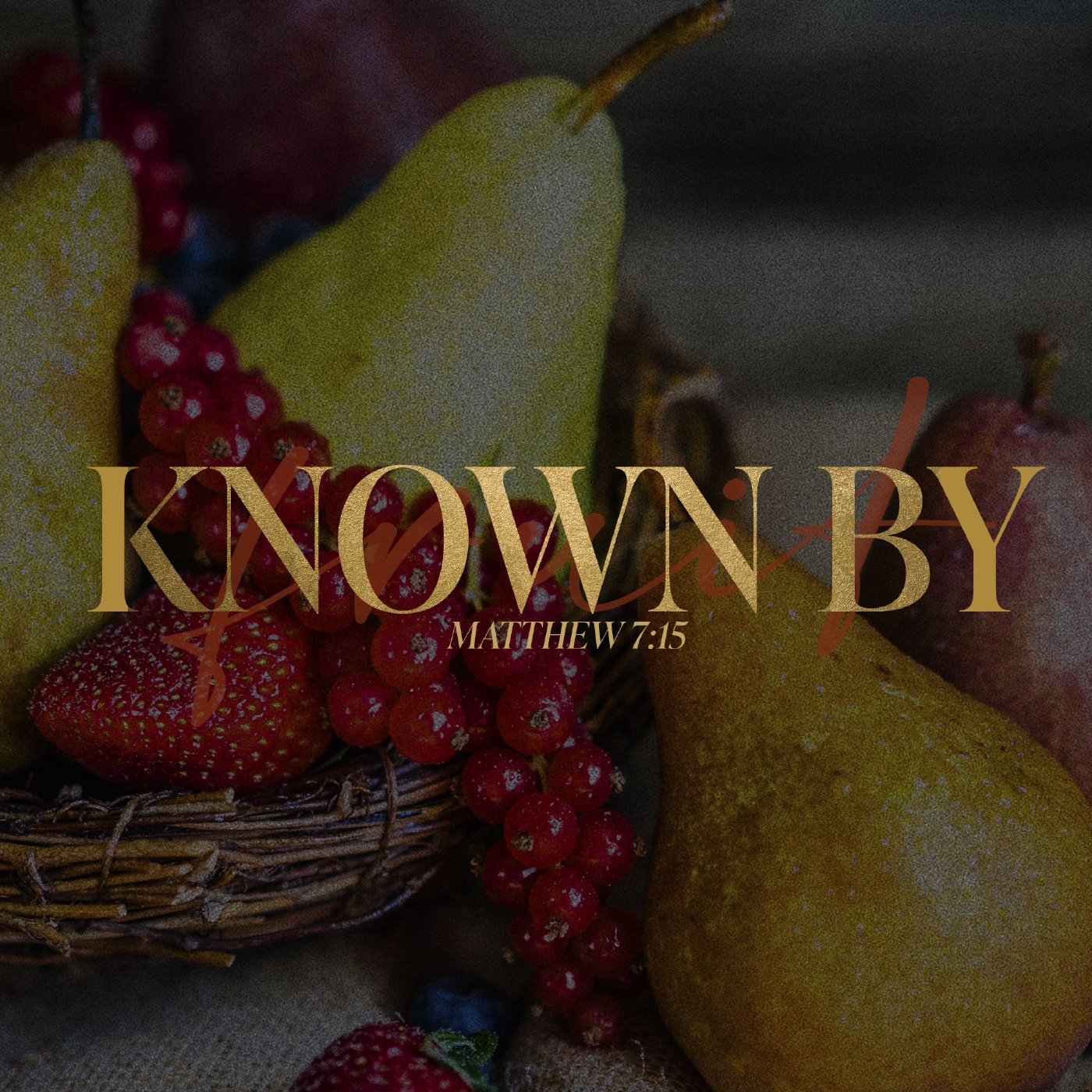 The Kingdom Center Podcast