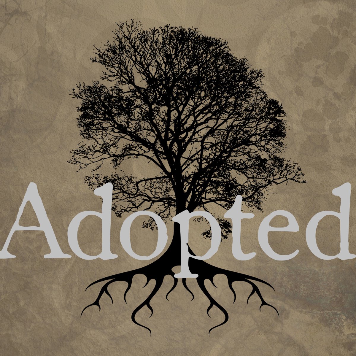 Our Relationship to Each Other as Adopted Sons episode artwork