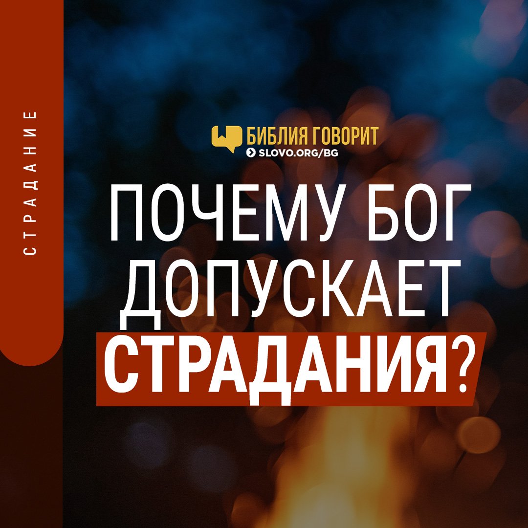 Бог допускает страдания. Почему бог допускает страдания животных.