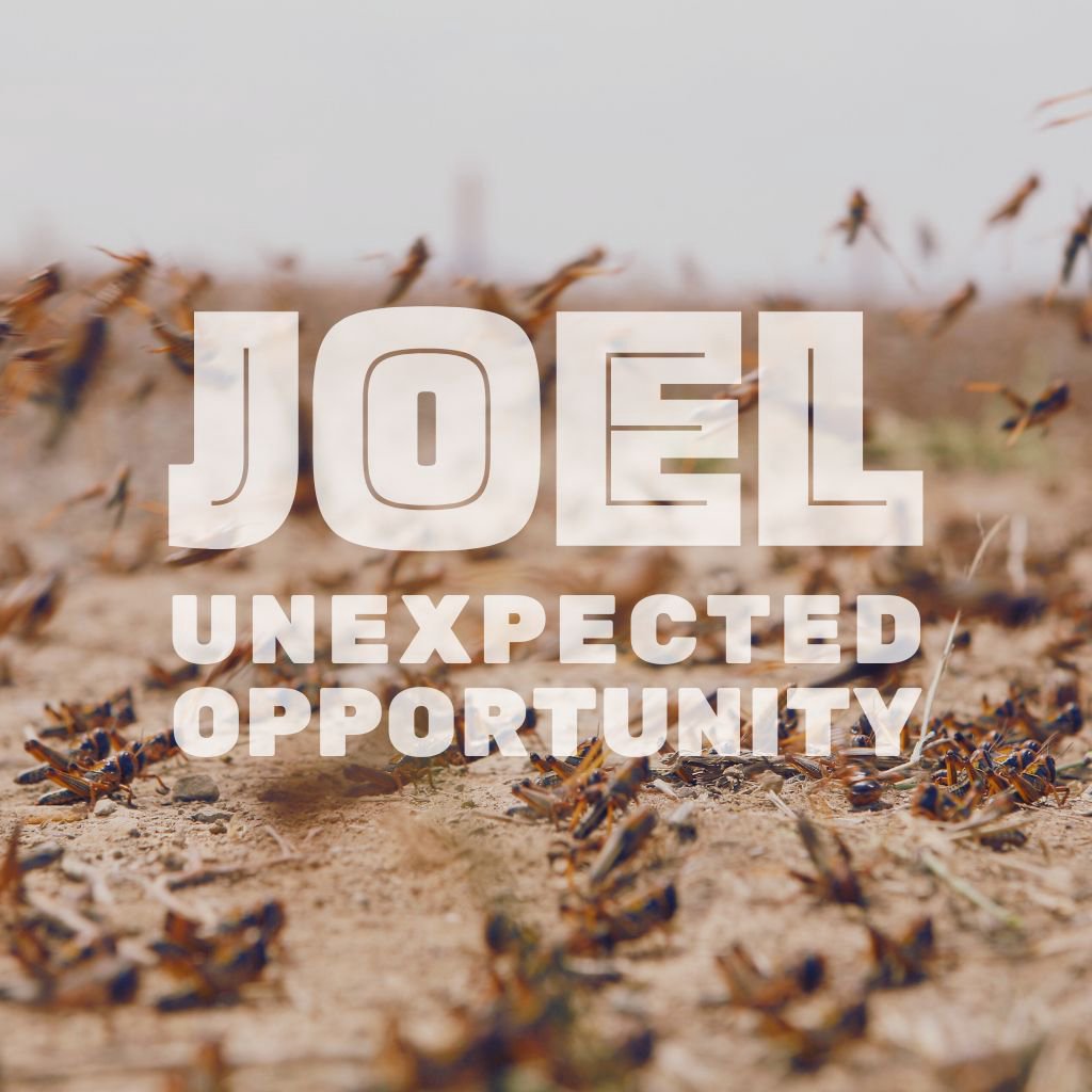 Joel - Unexpected Opportunity