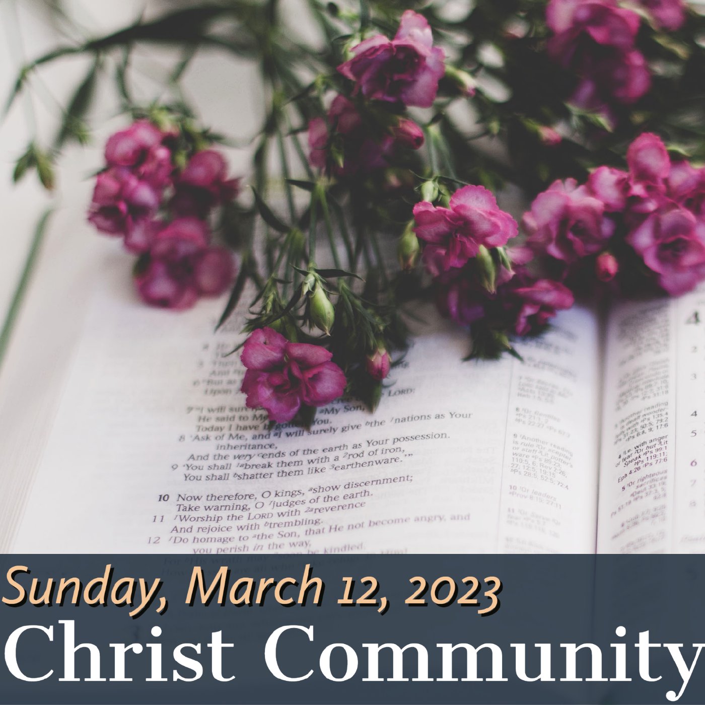 Christ Community Gainesville