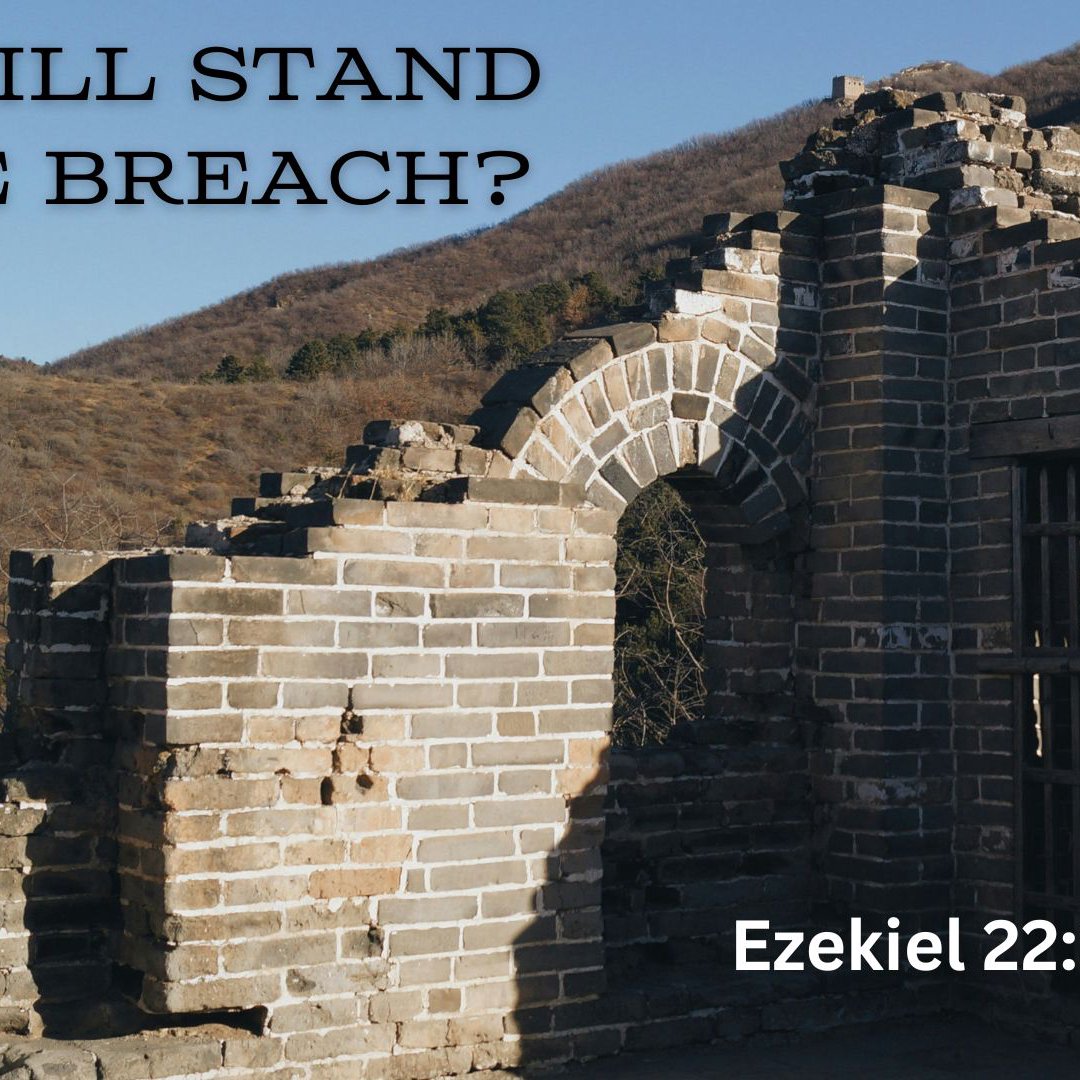 Who Will Stand in the Breach episode artwork