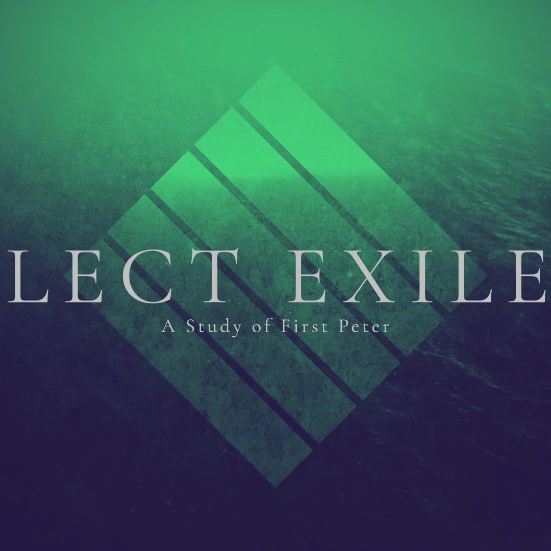 Elect Exiles - Part 3 episode artwork