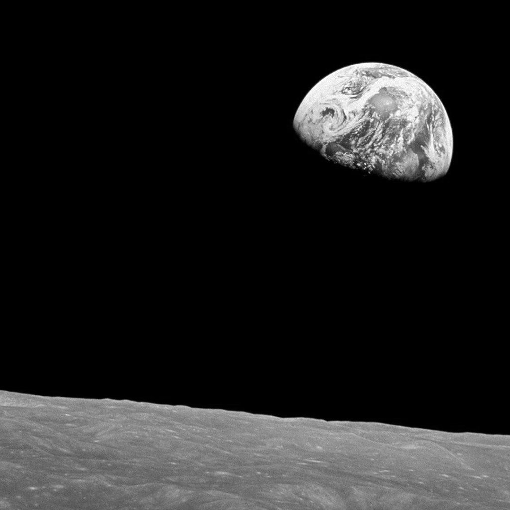 John 14-15, Attending to Vines: A Primer