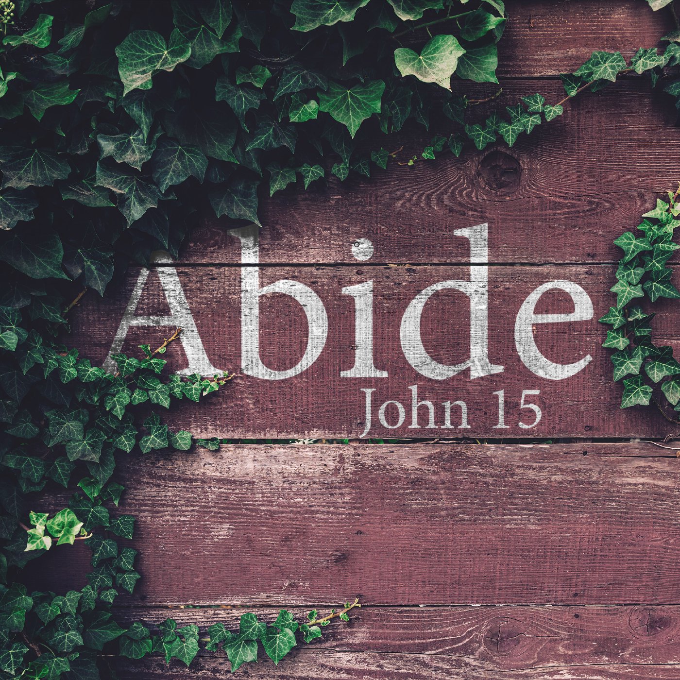 firstChristian Norfolk | Sunday Messages