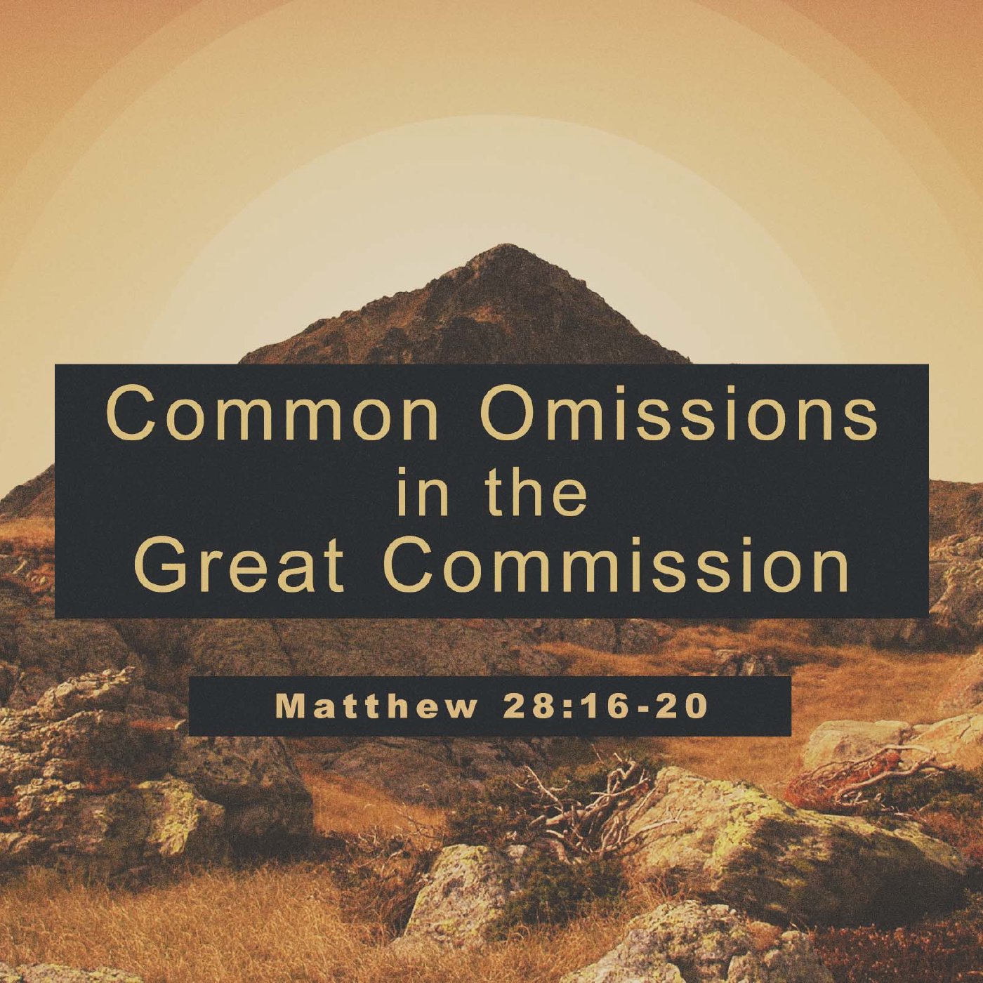 Common Omissions in the Great Commission episode artwork