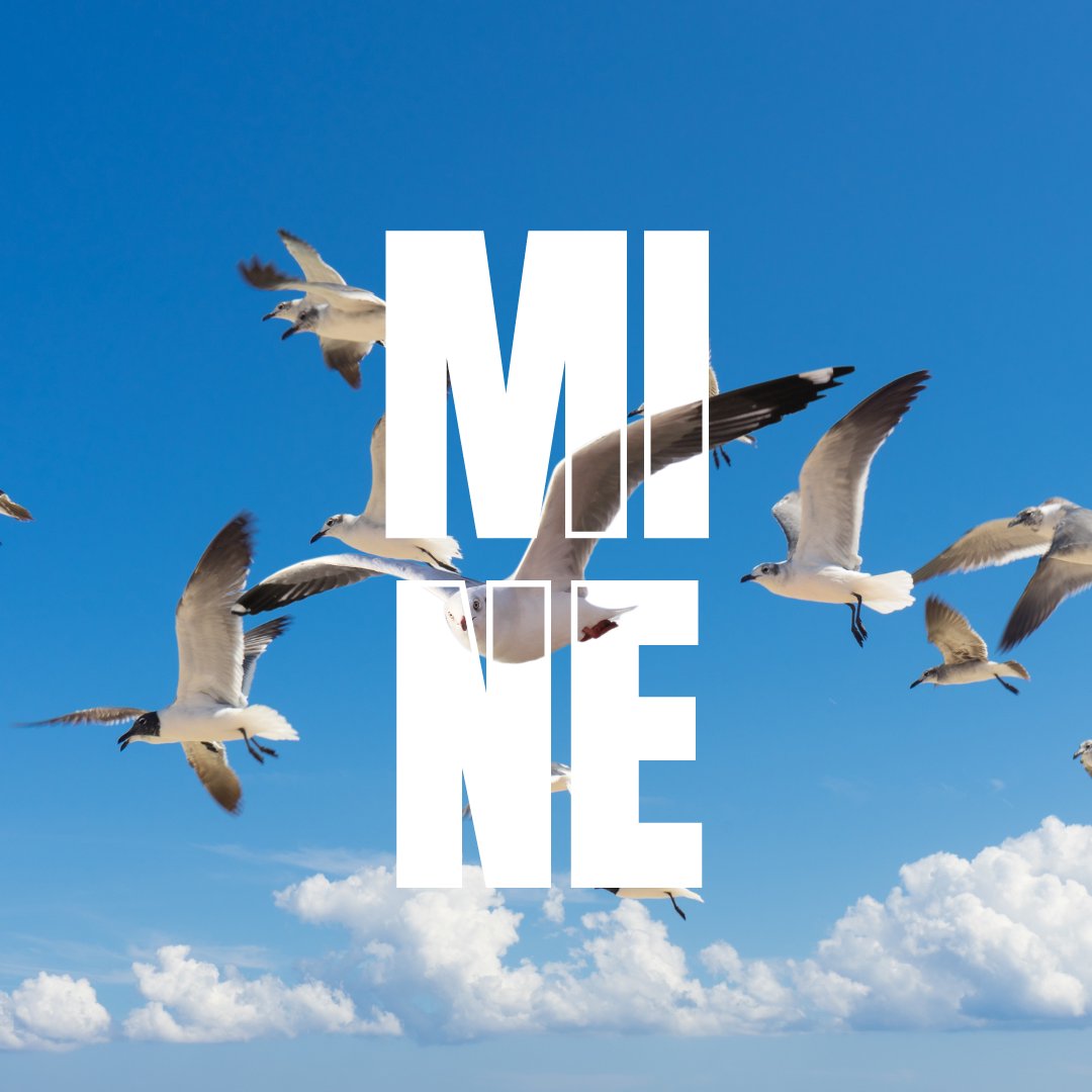 MINE episode artwork