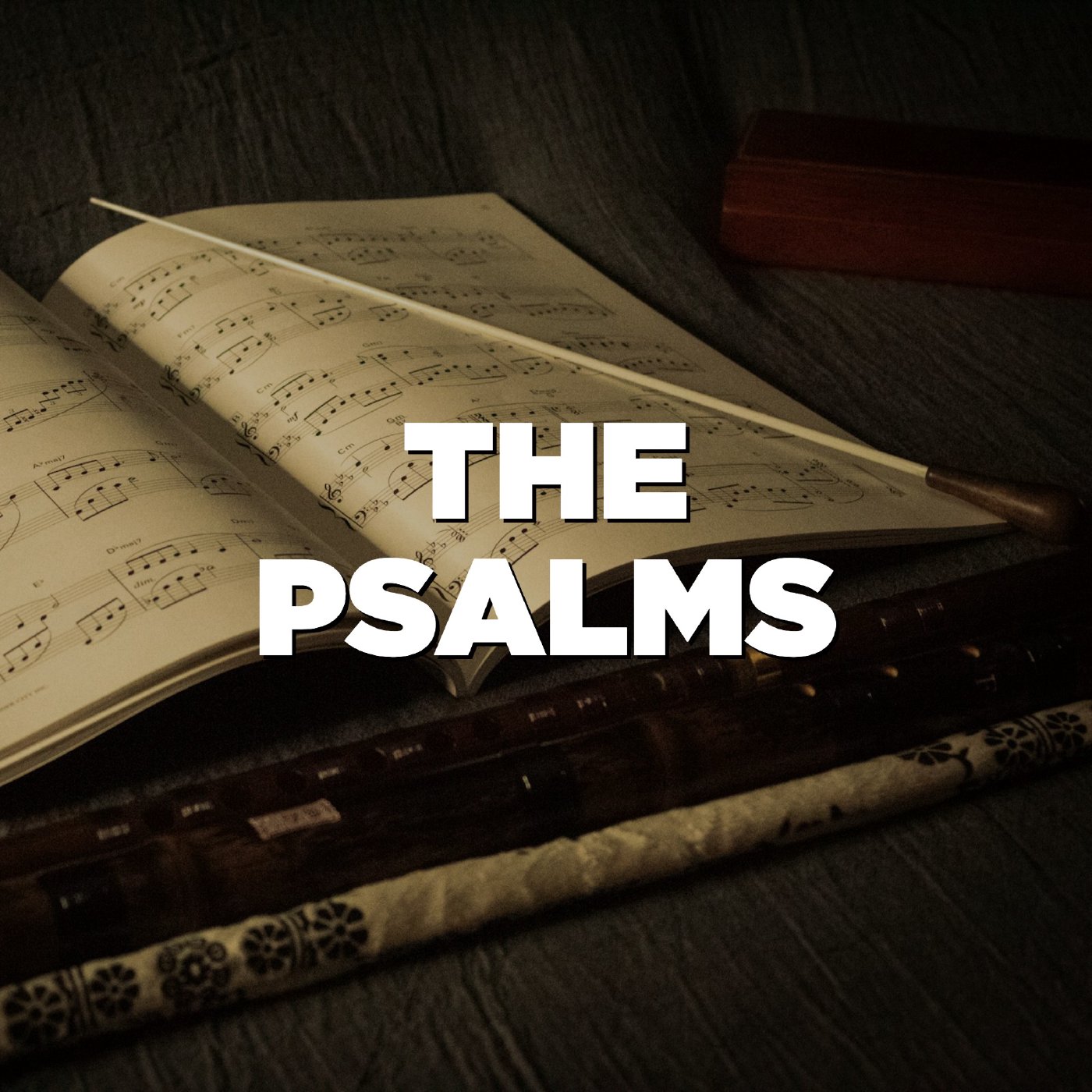 Why Do The Heathen Nations Rage? (Psalm 2) episode artwork
