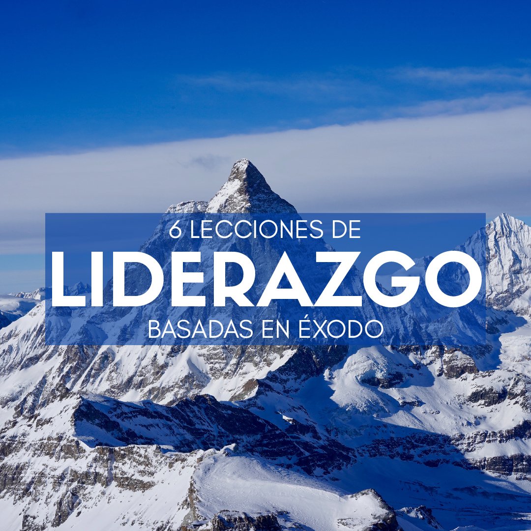 La Oposición del Líder