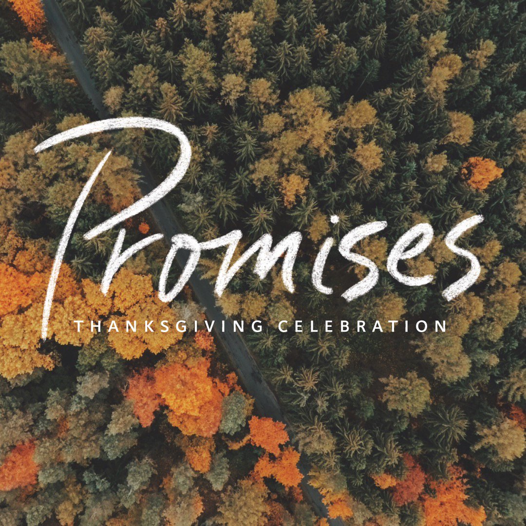 The Weight of a Promise episode artwork