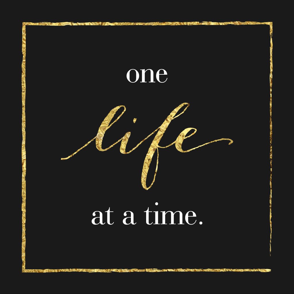 One Life at a Time episode artwork