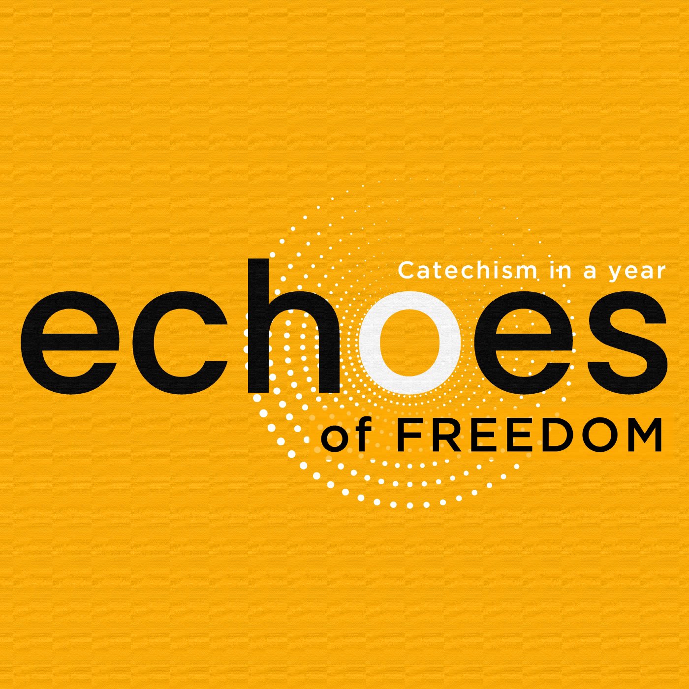 What do the sixth and seventh commandments free us from? | ECHOES: Catechism in a Year episode artwork