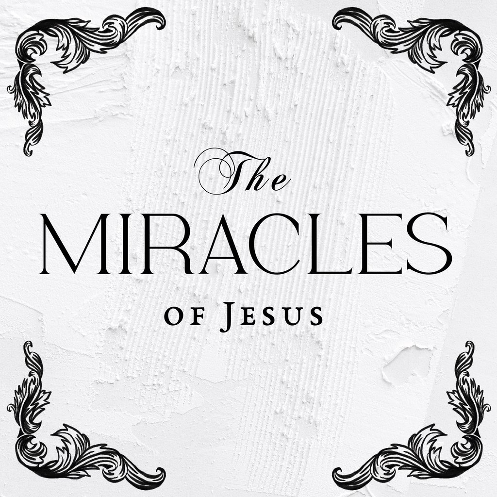 The Miracles of Jesus - Jesus Provides episode artwork