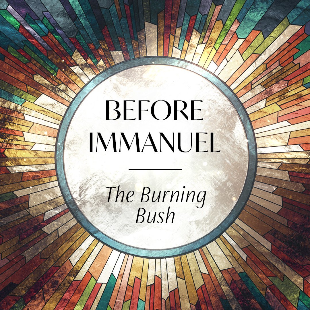 The Burning Bush episode artwork