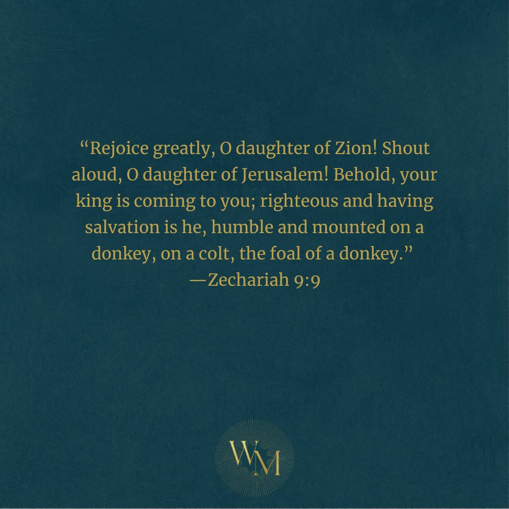 What is the hope of Christmas? What is the hope of Christmas?