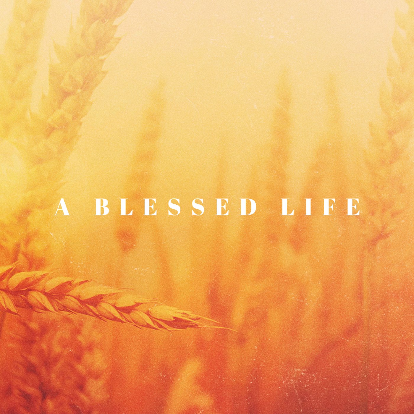 A Blessed Life episode artwork