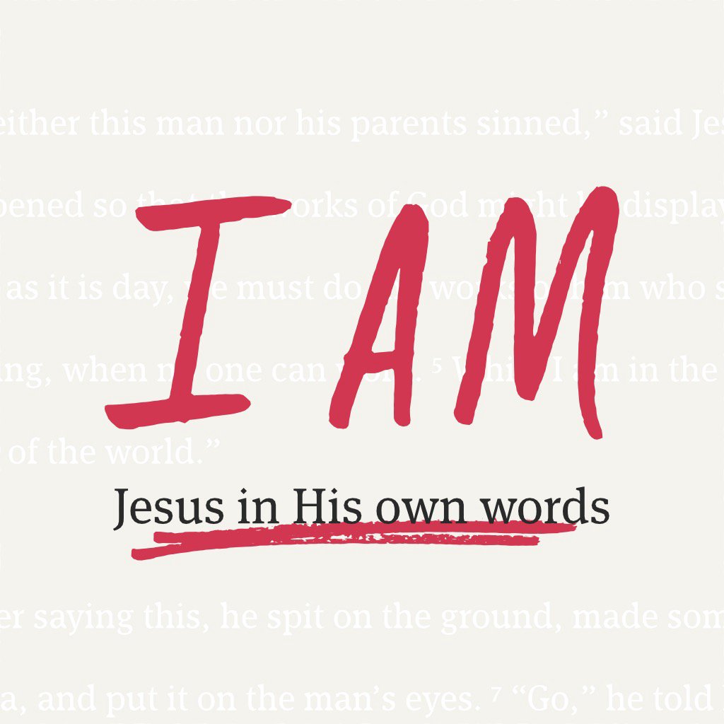 I Am Not I Am Not