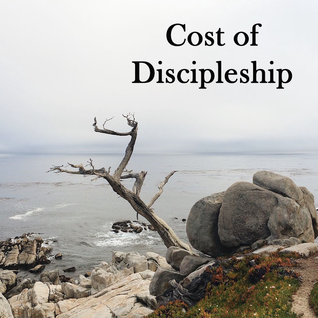 Cost of Discipleship episode artwork