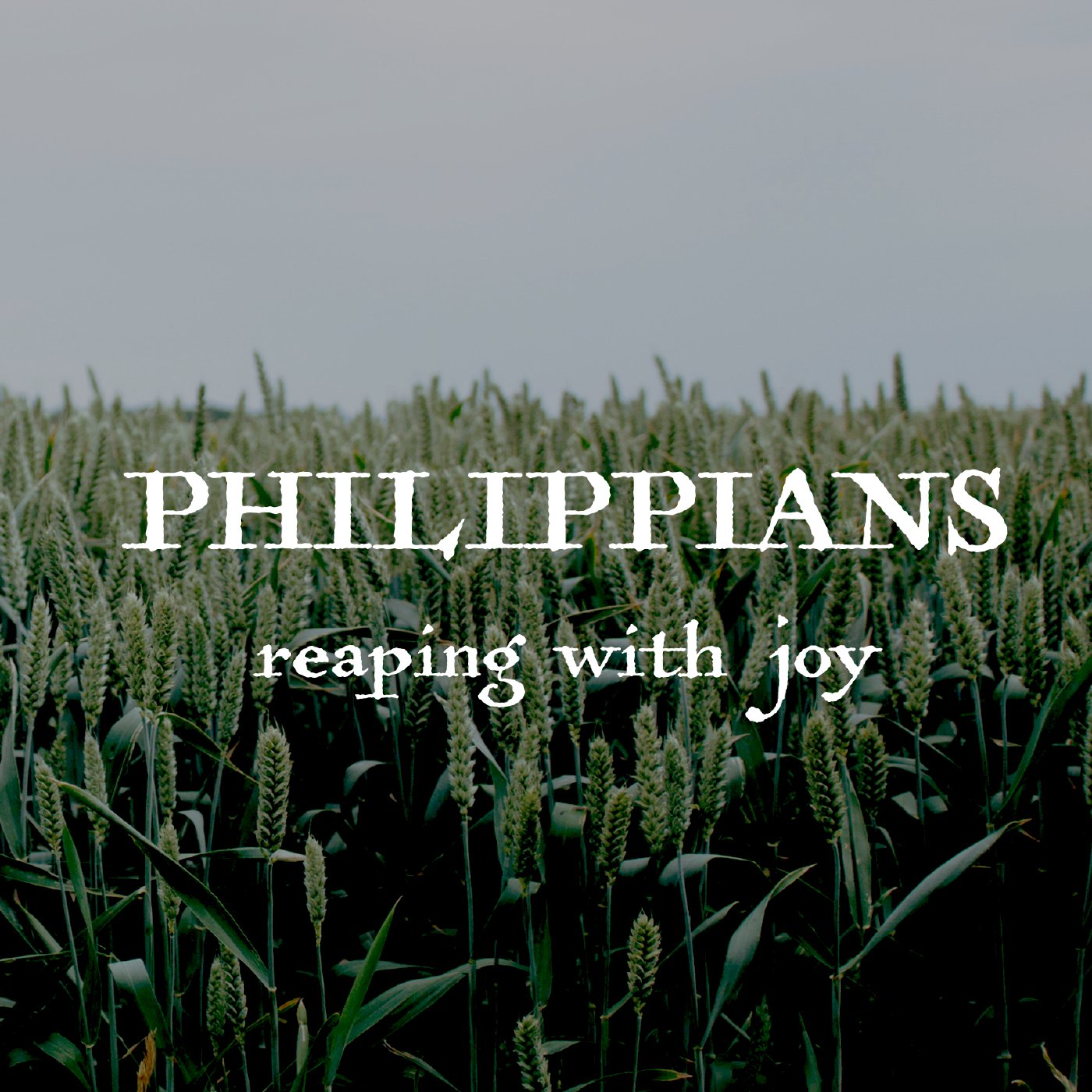 Pressing on for Joy | Philippians | Week 18 | Tyler Wilson | 2.10.19