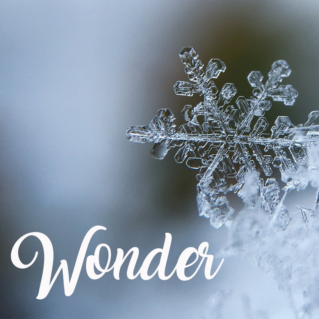 Wonder [ week 4 ] episode artwork
