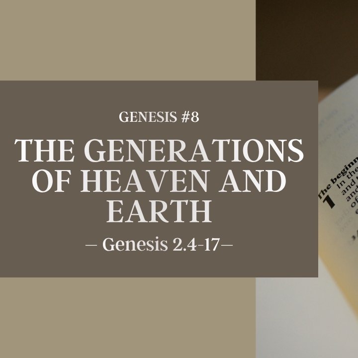 The Generations of Heaven and Earth | Genesis #8 episode artwork