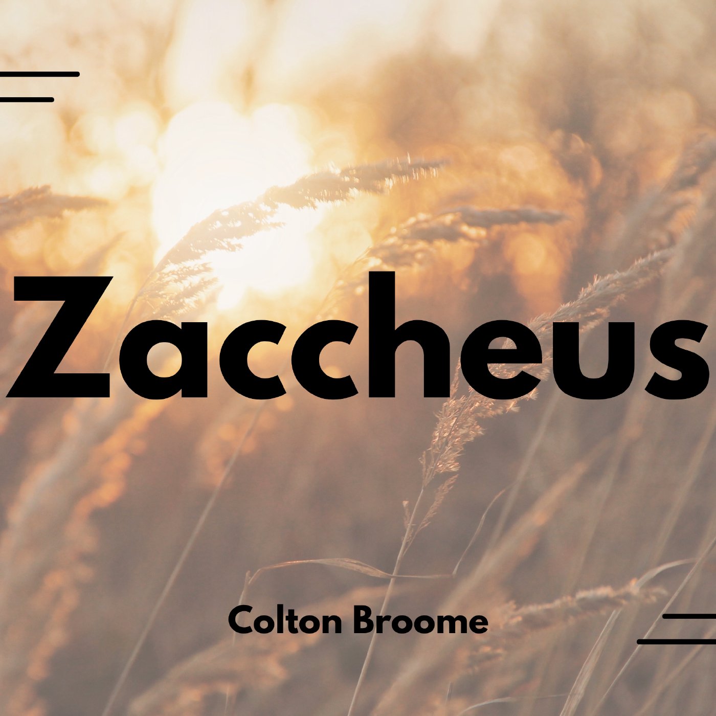 Summer Character Study: Zacchaeus episode artwork