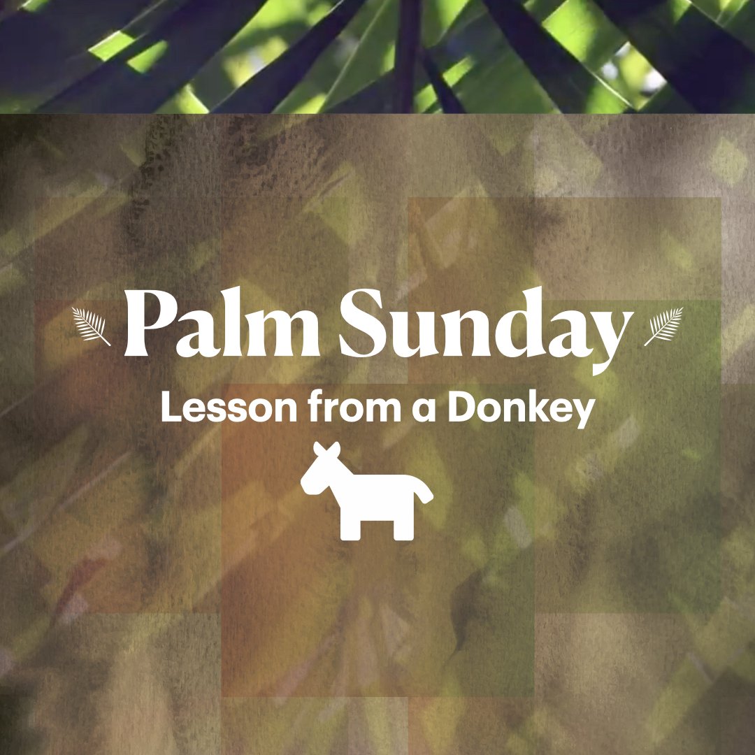 RHCCC Latest Sermon