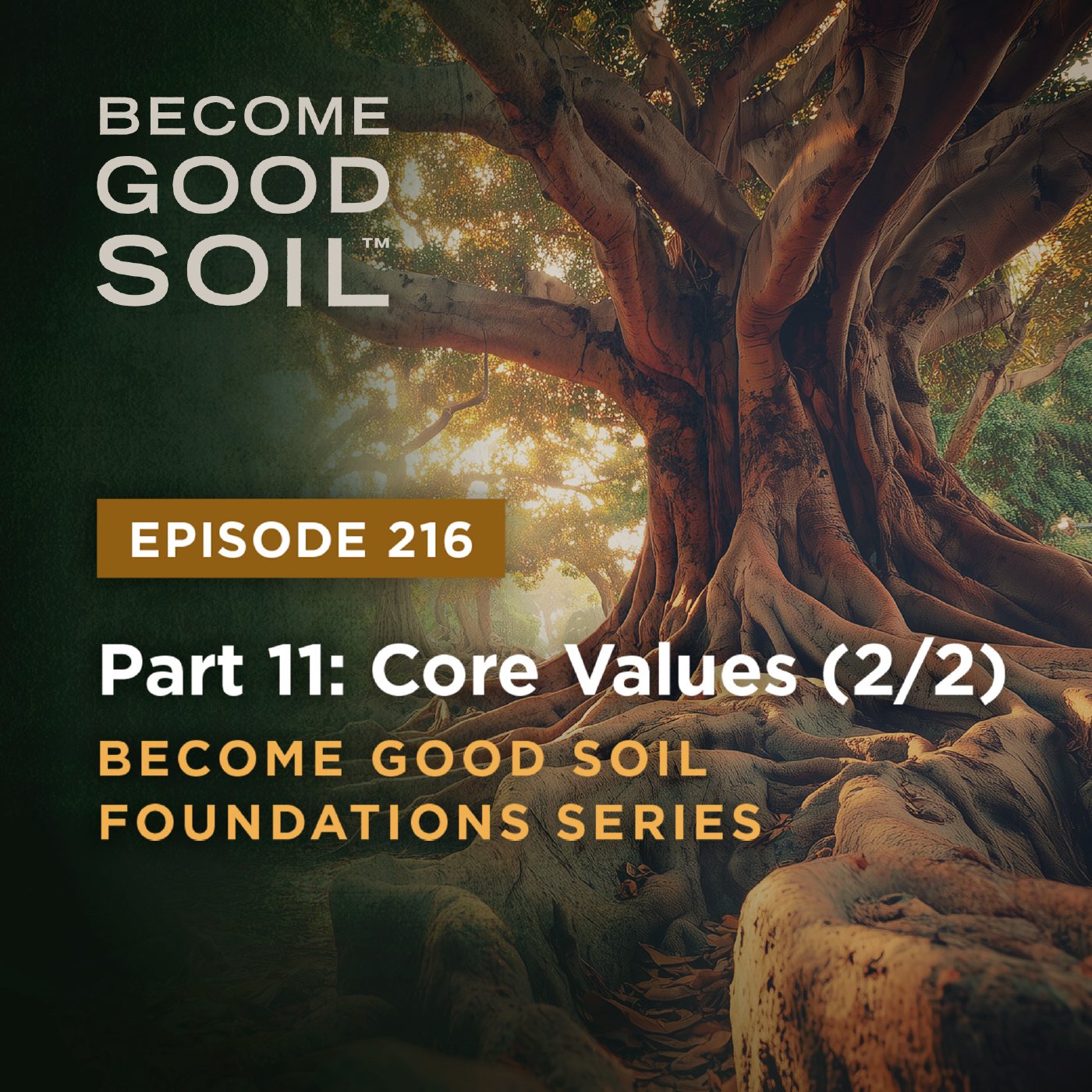 216: Core Values (2/2) – Become Good Soil Foundations Series (Part 11)