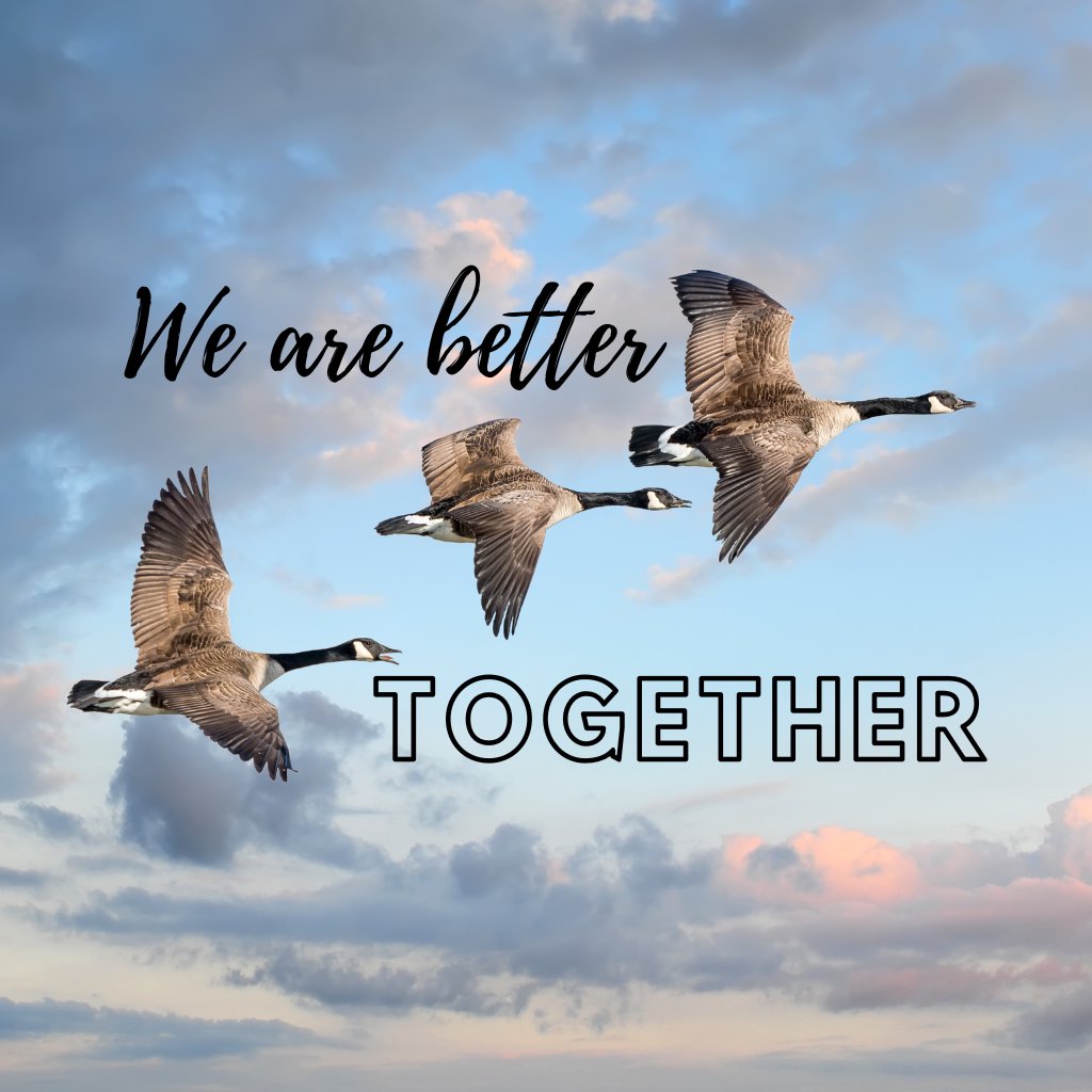 We Are Better Together