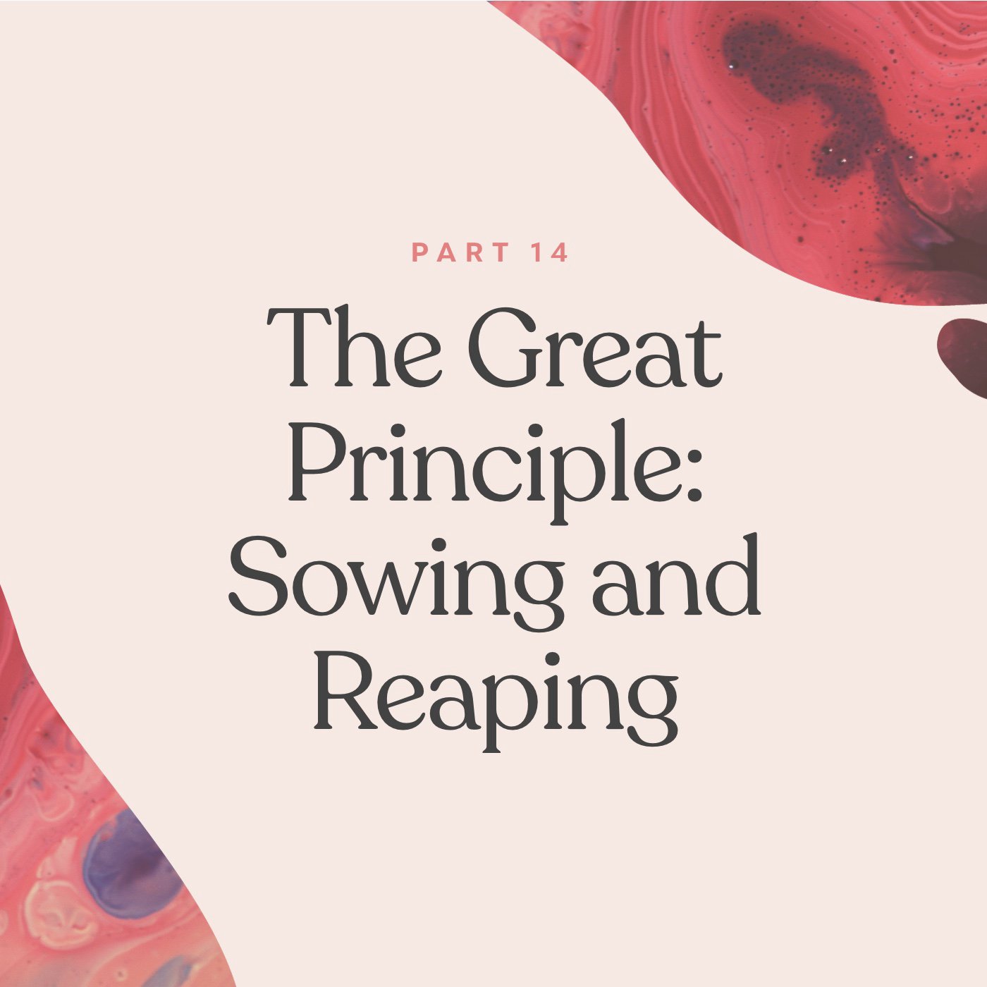 Walnut Creek Downtown - Sermons