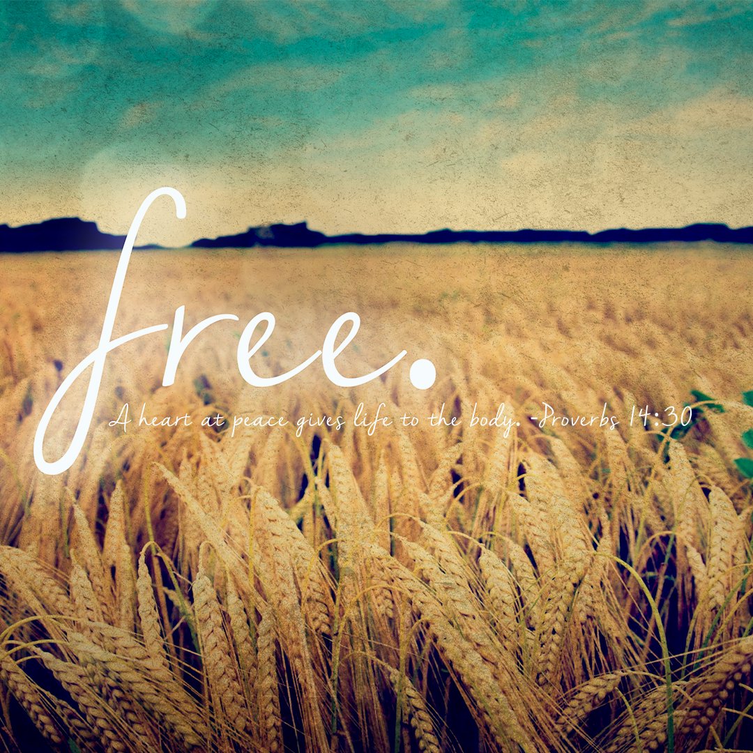 Free [ heart ] episode artwork