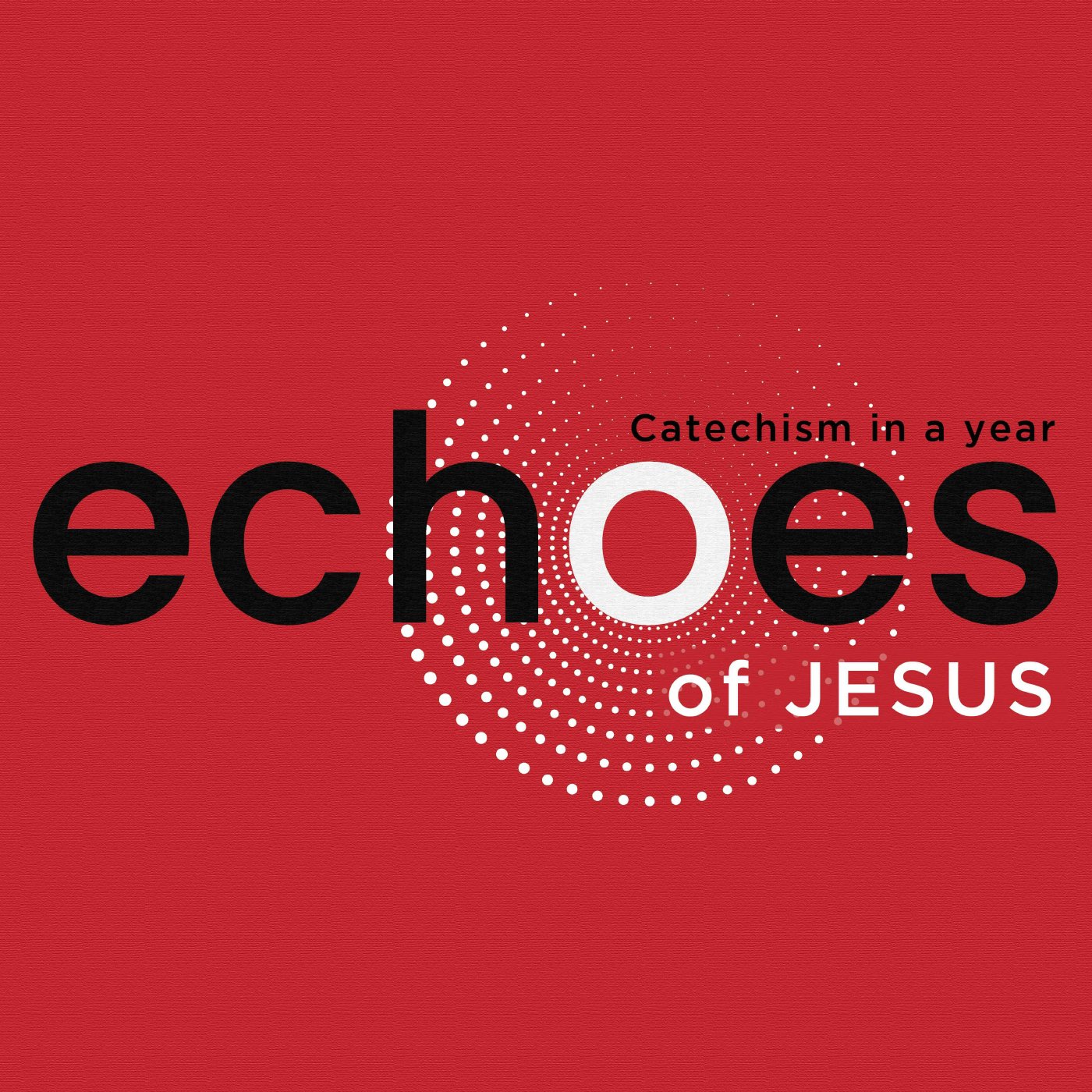 What does I mean that Jesus saves?  | ECHOES: Catechism in a Year episode artwork