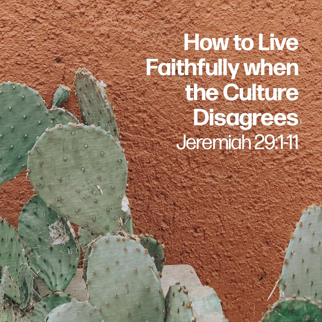 How to Live Faithfully When the Culture Disagrees