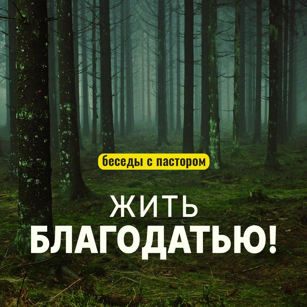 Жить благодатью! episode artwork