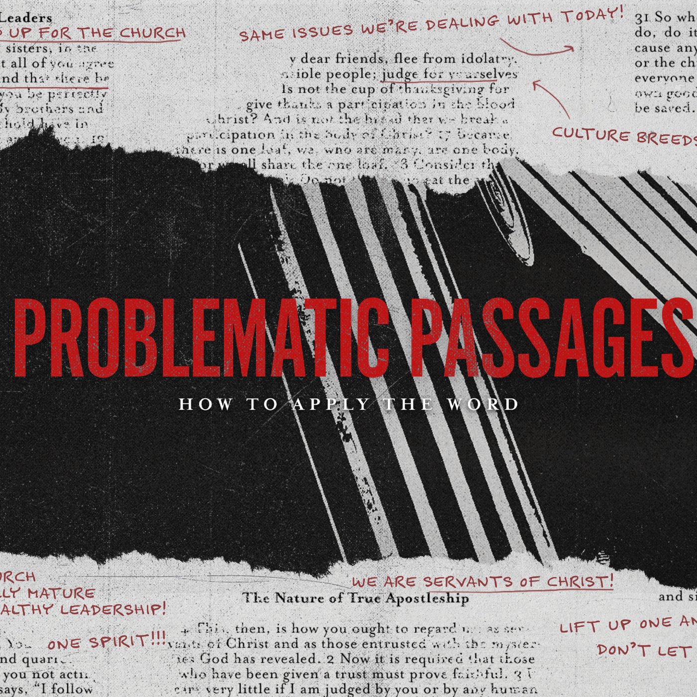 Studying the Bible episode artwork