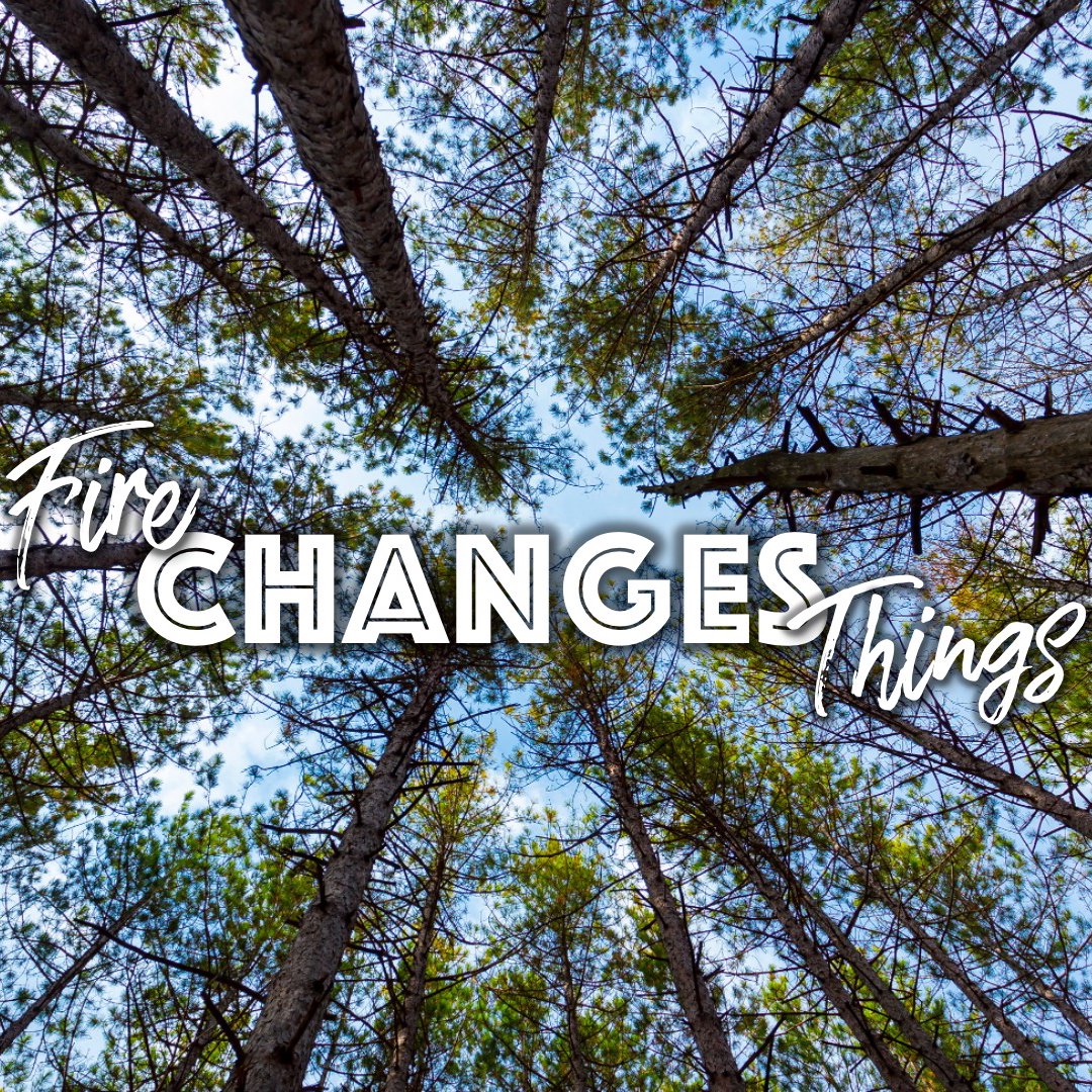 Fire Changes Things